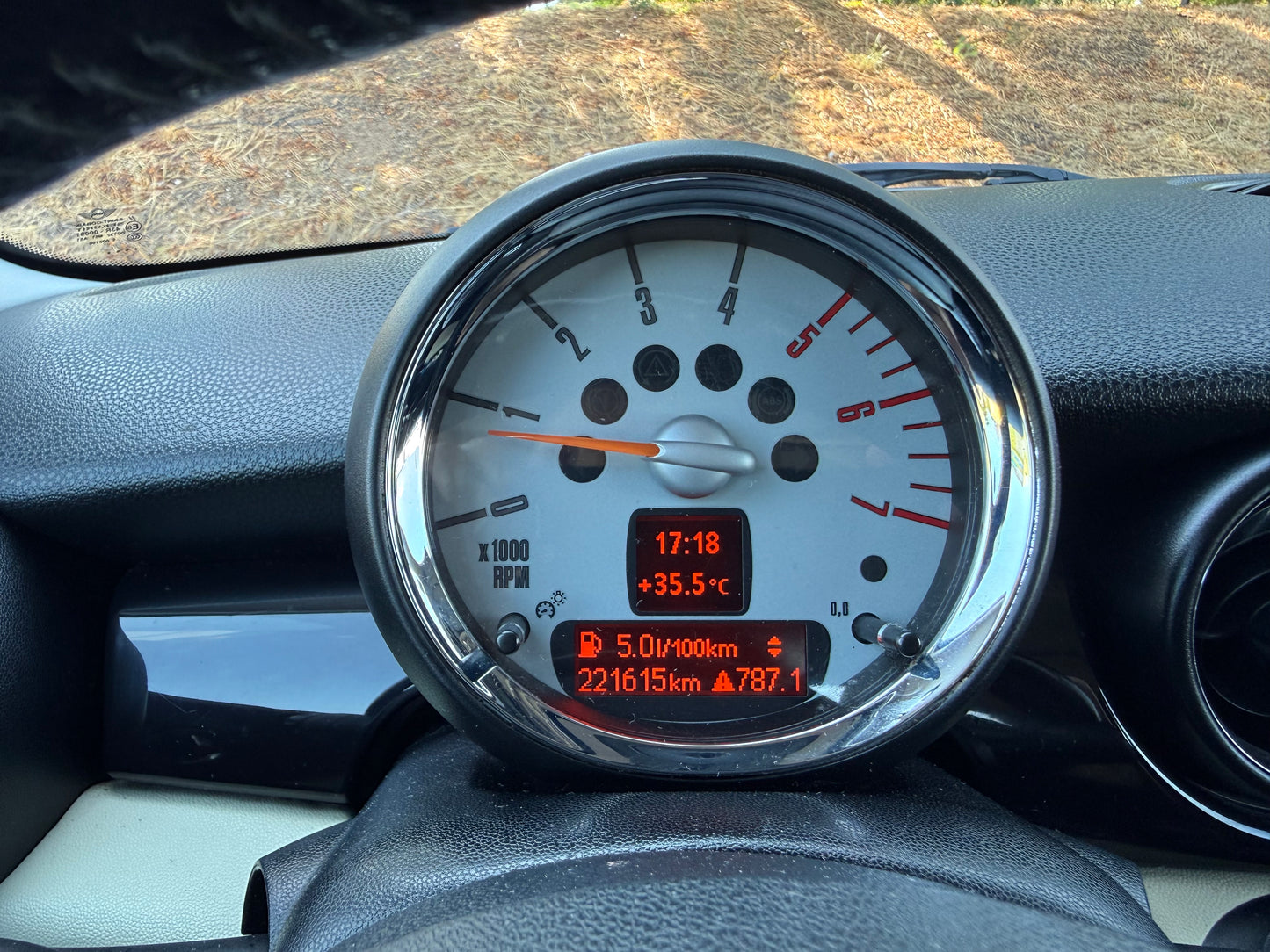 2010 Mini One D