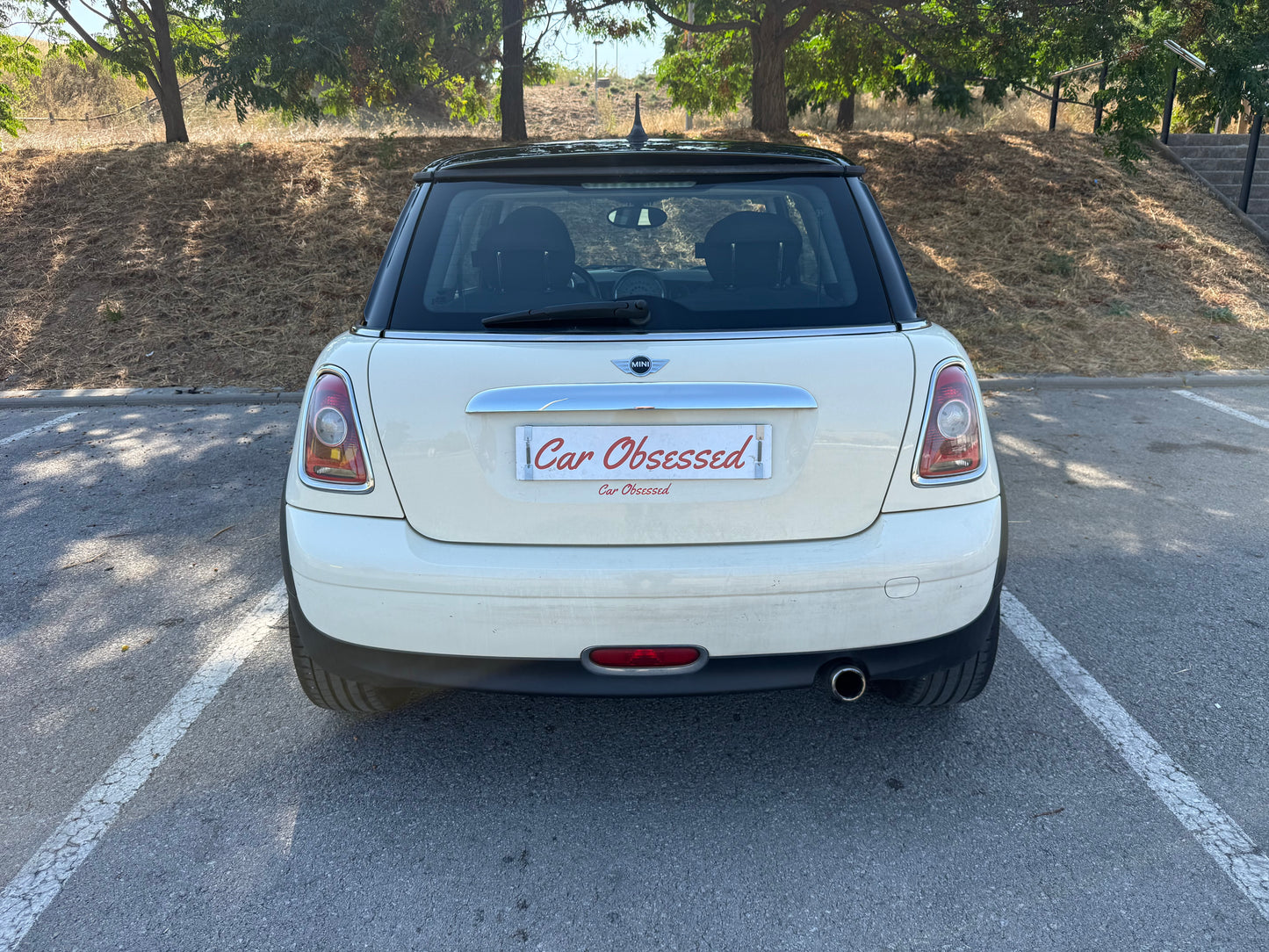 2010 Mini One D