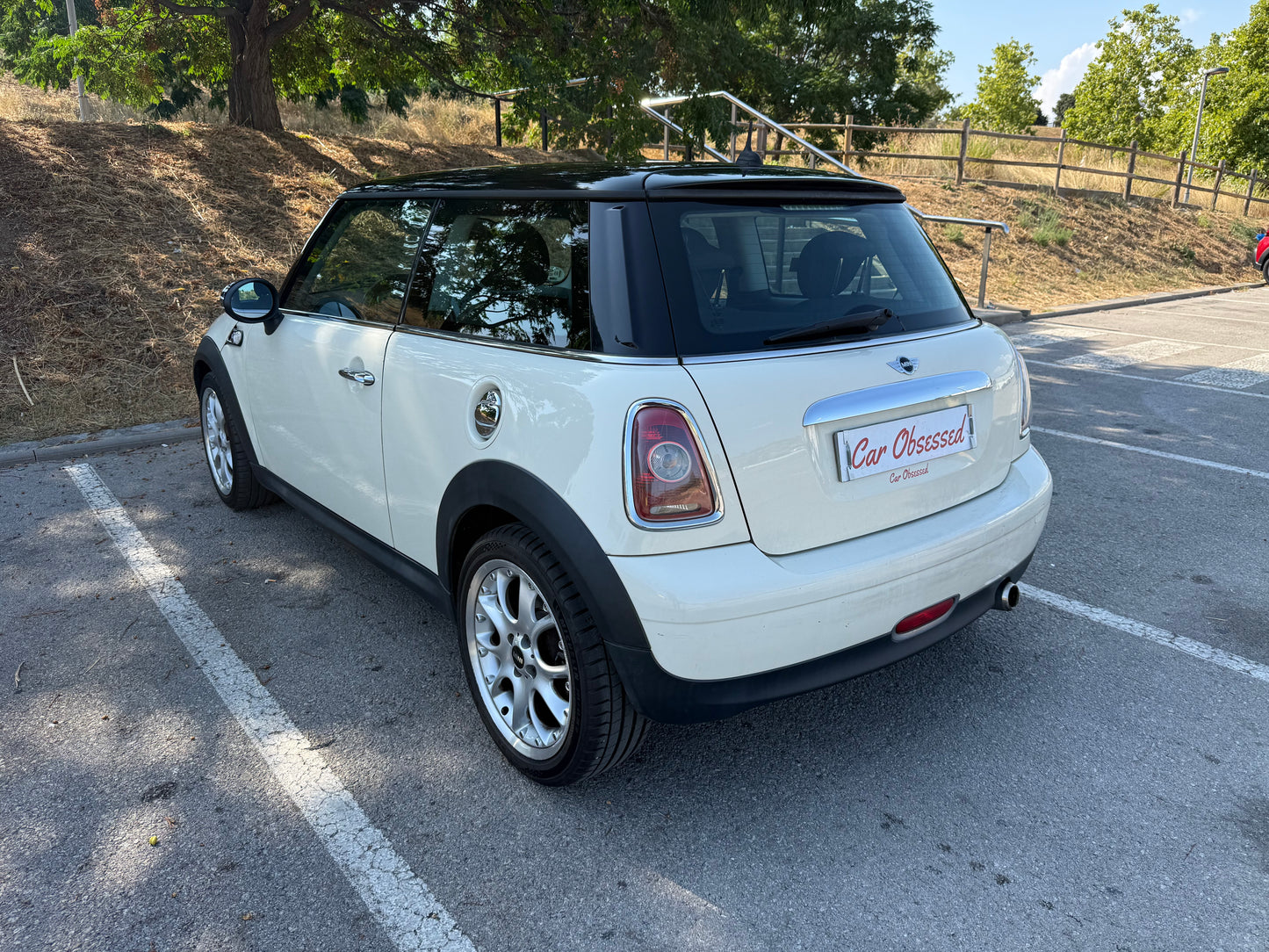2010 Mini One D