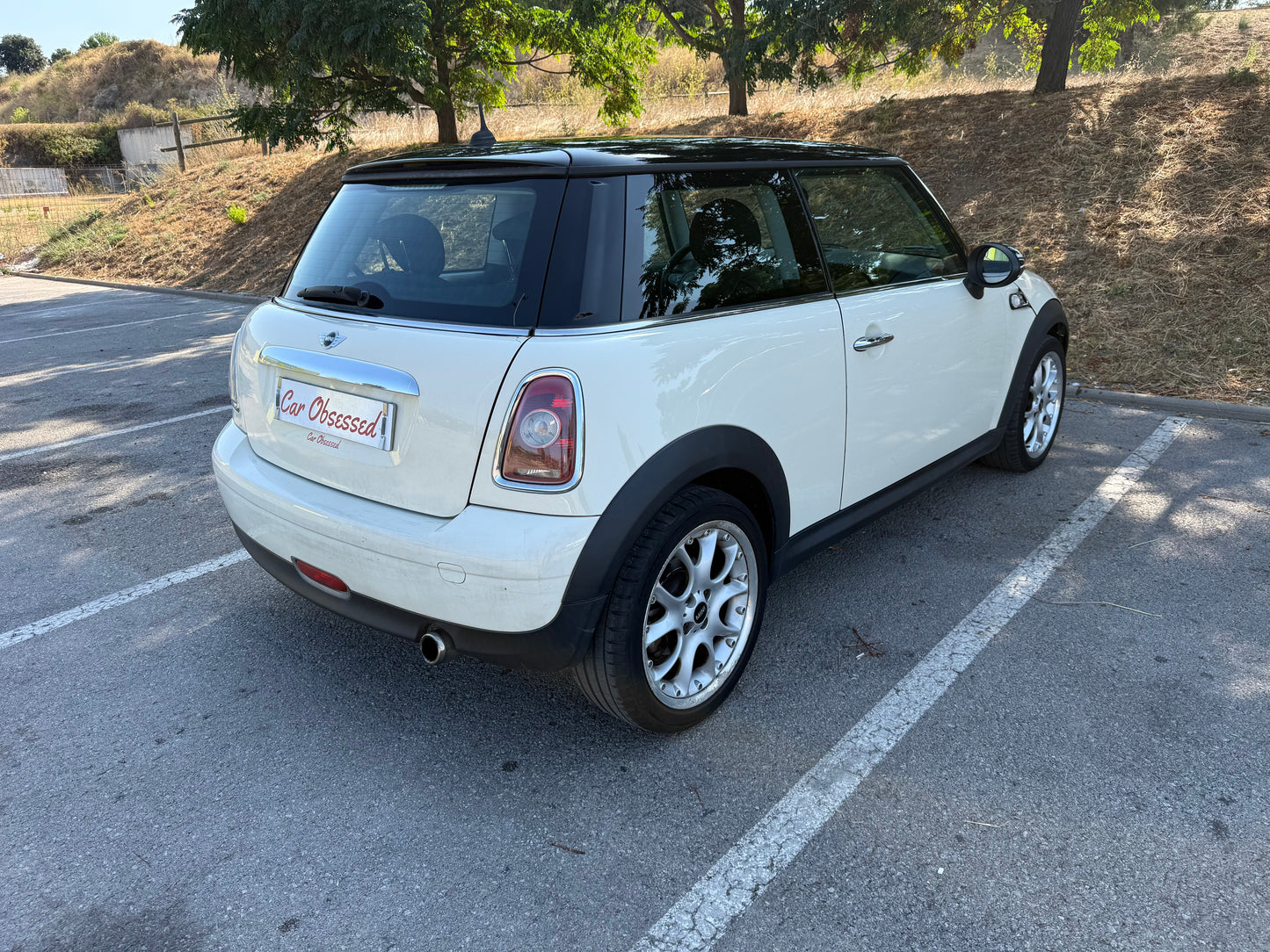 2010 Mini One D