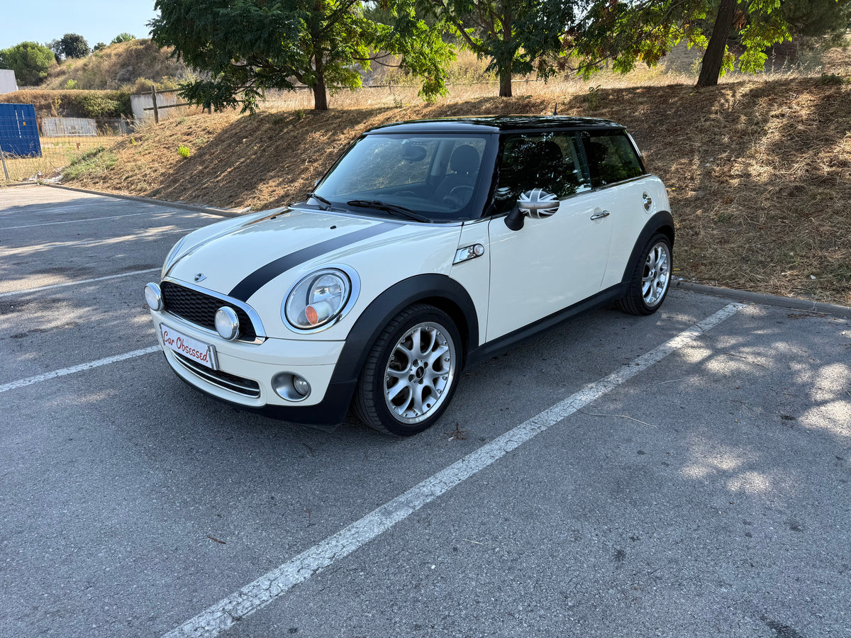 2010 Mini One D