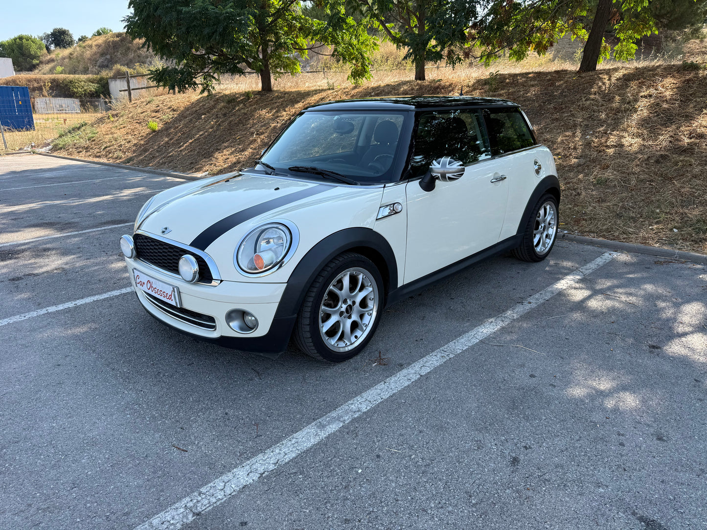 2010 Mini One D
