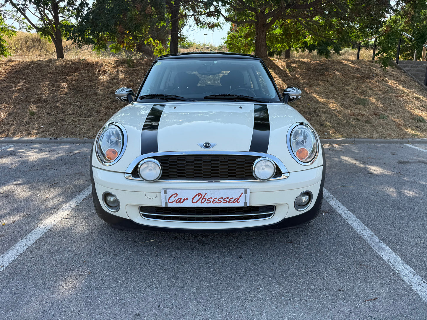2010 Mini One D